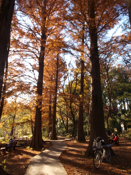 a0198728_18595529.jpg