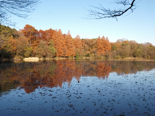 a0198728_1925530.jpg