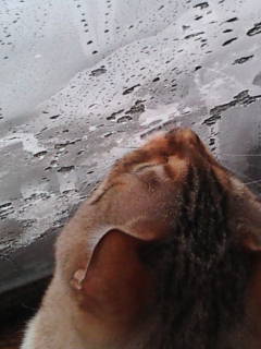 f0009028_7514015.jpg