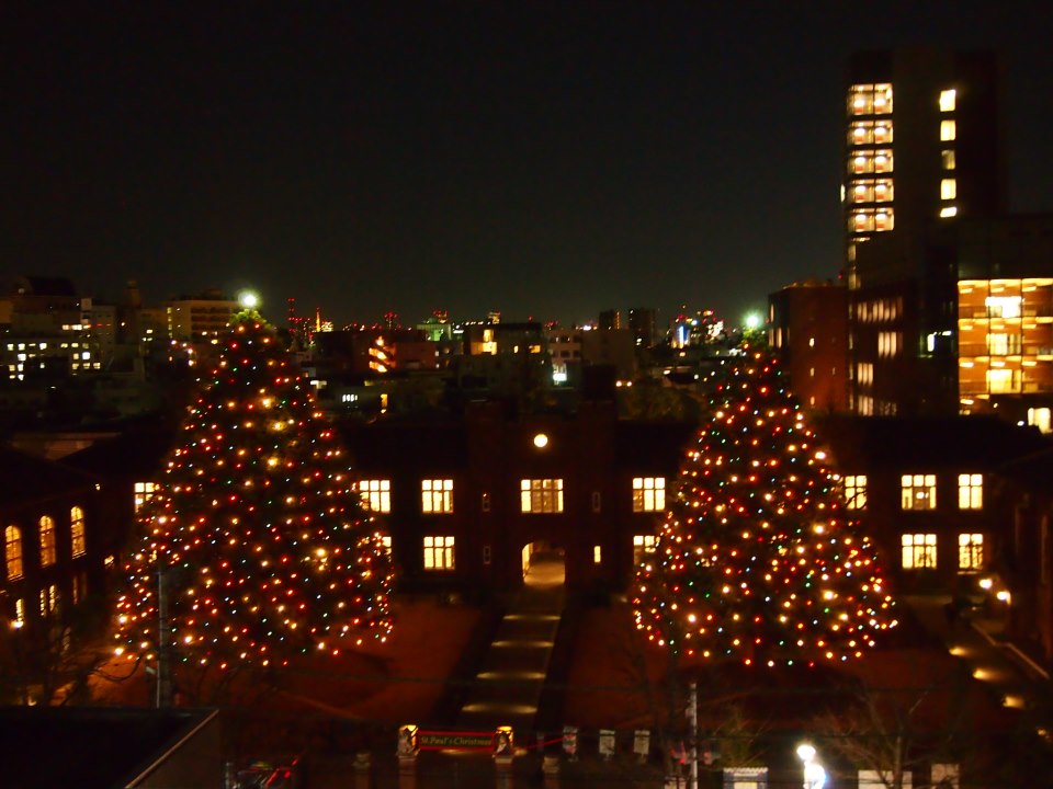 e0200529_959145.jpg