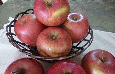 c0237432_12375020.jpg