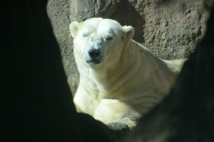 b0245634_1224489.jpg