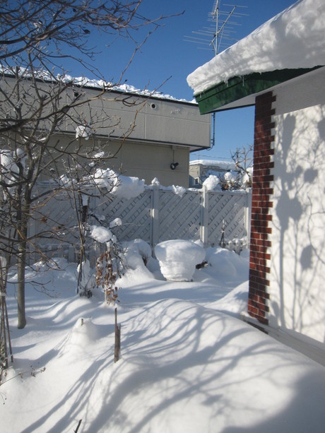 a0279743_10463594.jpg