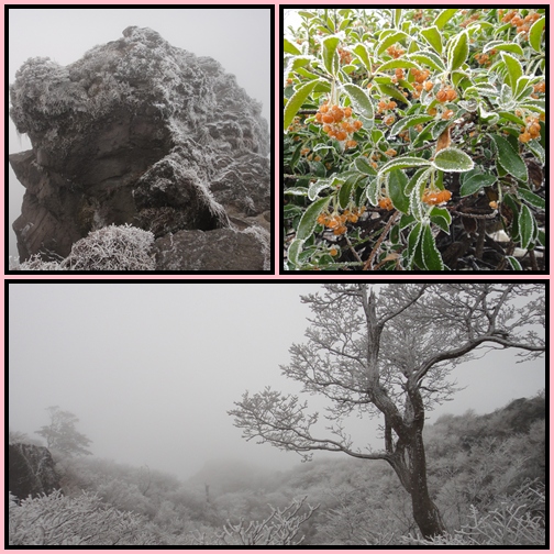 「花ぼうろ」観賞・普賢岳_e0164643_1643366.jpg