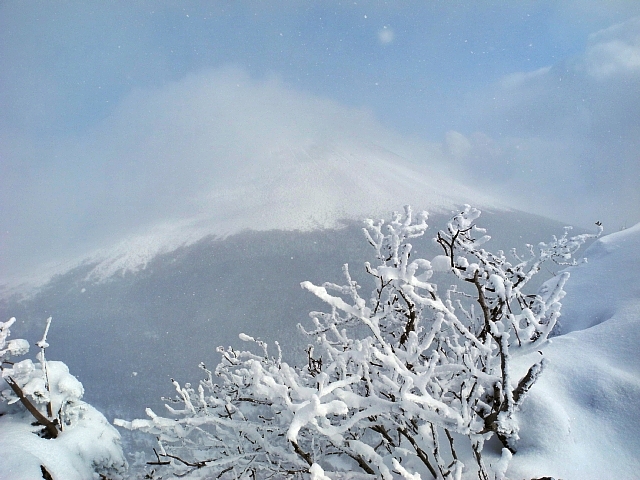 b0122448_21482114.jpg