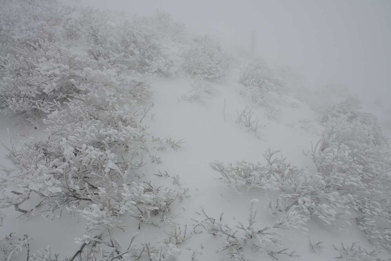 2012.12.23の山行き記録写真①_e0259251_21342969.jpg