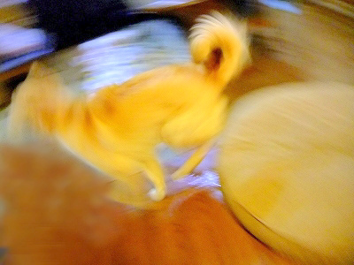 c0097558_14172651.jpg