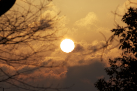 a0248459_2194827.jpg