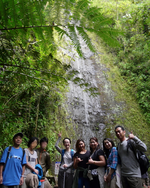 MANOA FALLS TRAIL_a0132260_14234784.jpg