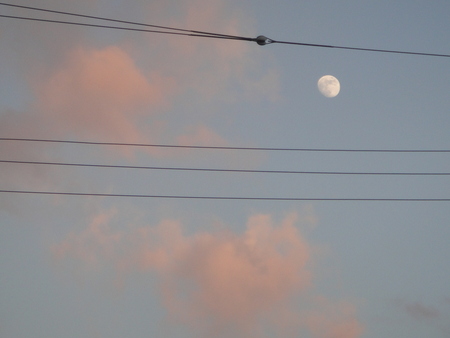 c0108460_1835051.jpg