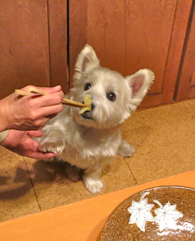 ピェンロー鍋(扁炉鍋)_c0260460_1757225.jpg