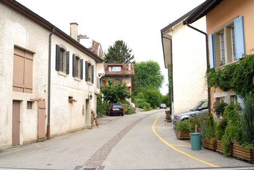 e0151566_172077.jpg