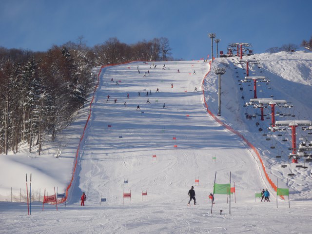 b0085469_160764.jpg
