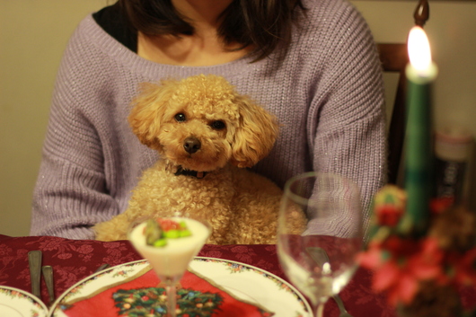 クリスマスの食卓_a0241377_98994.jpg