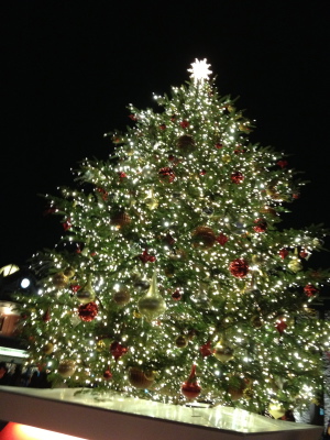 ++Merry X\'masですわよ、皆様++_d0079988_1059239.jpg