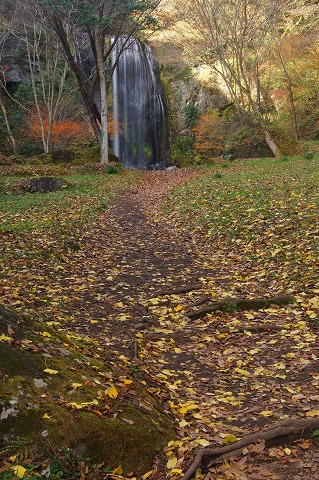 e0176993_1104722.jpg