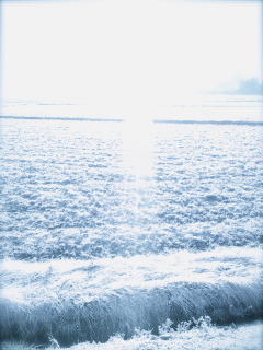a0199297_18292287.jpg