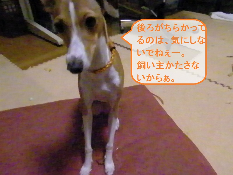 a0284997_11131490.jpg