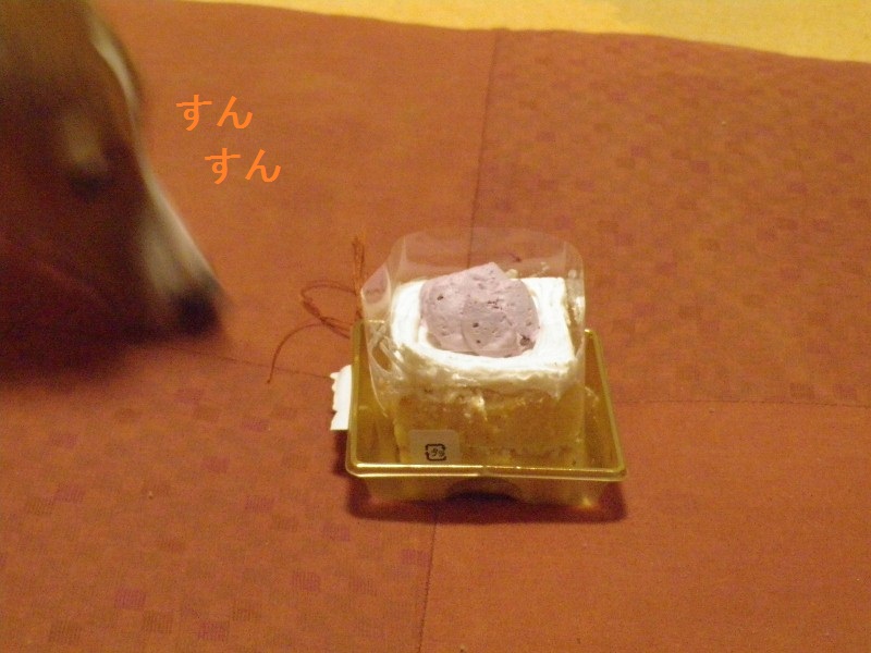a0284997_1174887.jpg