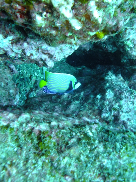 e0115199_15484950.jpg