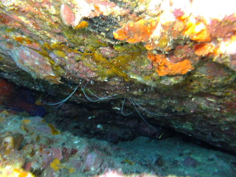 e0115199_15595130.jpg