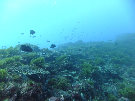 e0115199_1691847.jpg