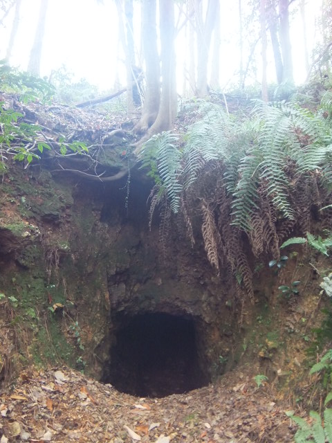 各務ヶ原権現山から岐阜（芥見）権現山へ～_a0271502_16383284.jpg