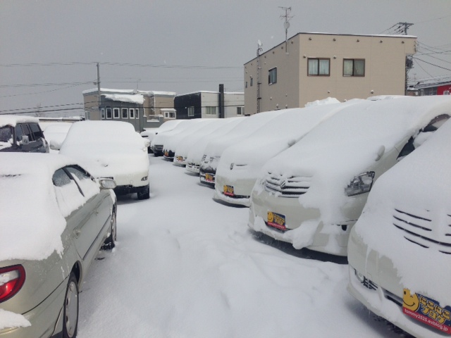 トミーモータース キング ニコニコブログ!!_b0127002_1919406.jpg