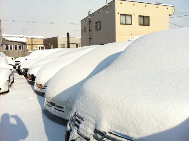 トミーモータース キング ニコニコブログ!!_b0127002_19203513.jpg