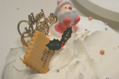 クリスマスケーキ～２０１２～LESSON♪_a0125008_13221344.jpg