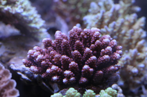b0240608_22535150.jpg