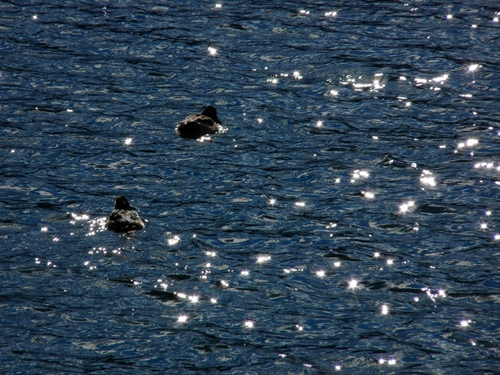 d0205917_22631.jpg