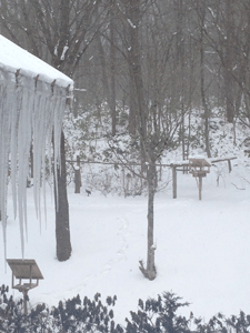 f0232920_15274345.gif