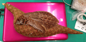 f0232920_1530436.gif