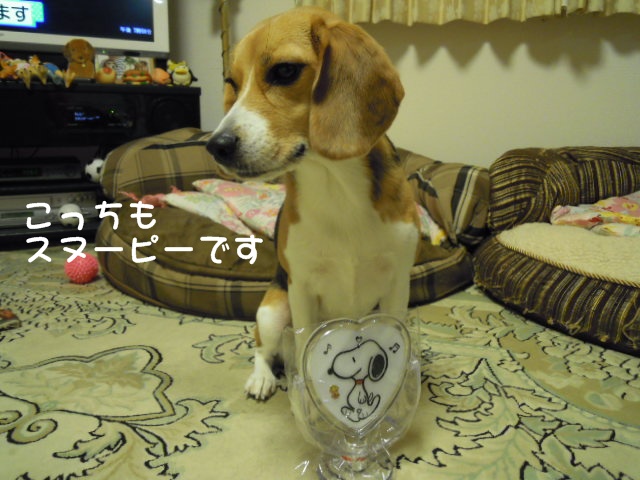 c0166622_18164451.jpg