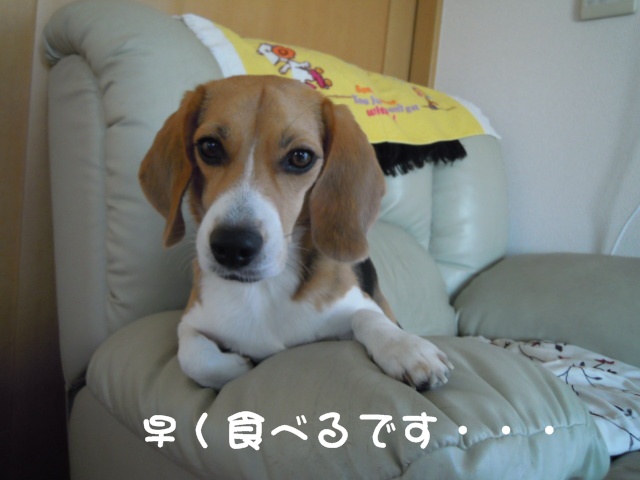 c0166622_1841089.jpg
