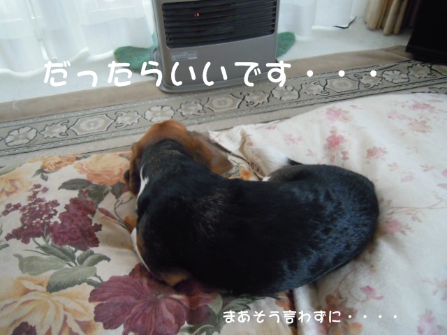 c0166622_184461.jpg