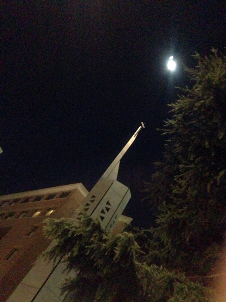 手話による御ミサ_e0243332_0293095.jpg