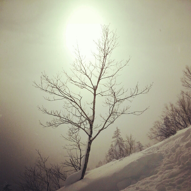 撮影とか 日々_e0173533_15514080.jpg