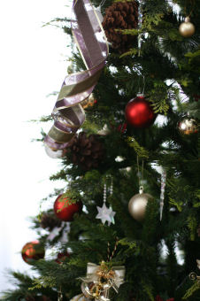 f0002534_20264937.jpg