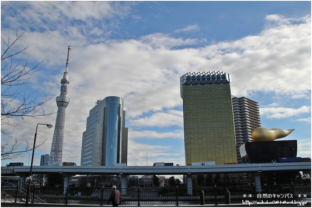 東京スカイツリ-駅から浅草までの散歩(^^♪_e0052135_2227595.jpg