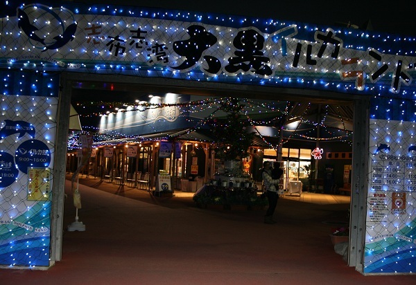 f0042737_10401632.jpg