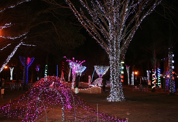 f0042737_10492470.jpg