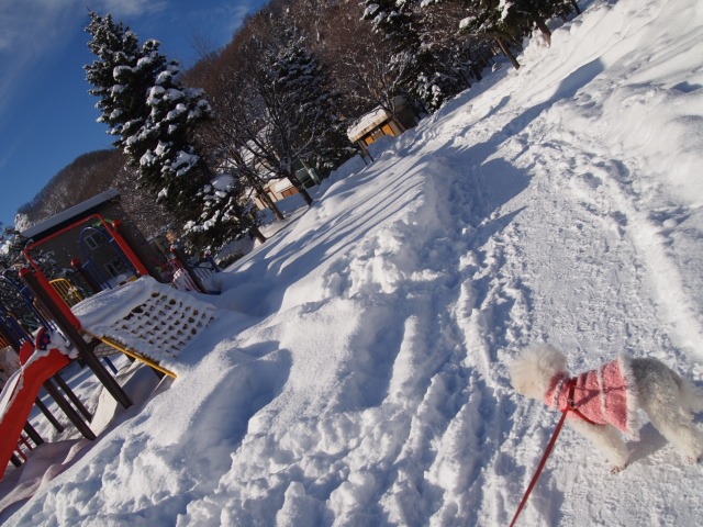 c0117239_1052432.jpg