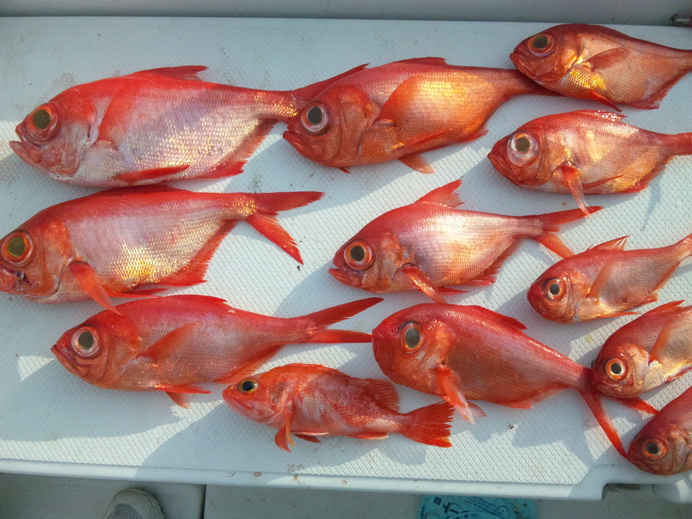 今週の天候は・・・【カジキ・マグロトローリング】_f0009039_9504861.jpg