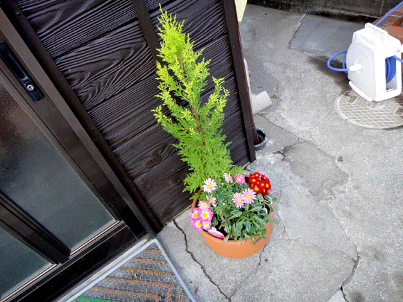 a0056140_1850149.gif