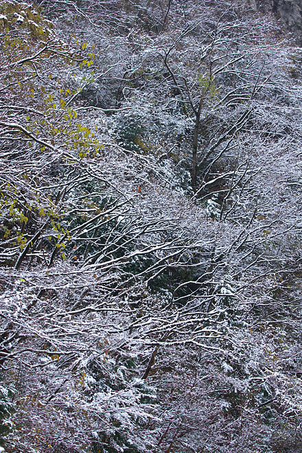 c0067040_22412368.jpg