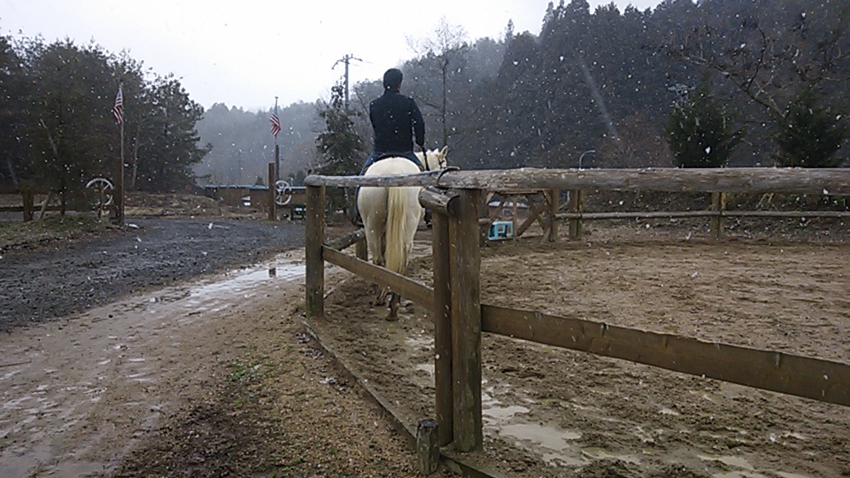 終日雪でしたね_e0145441_19472167.jpg
