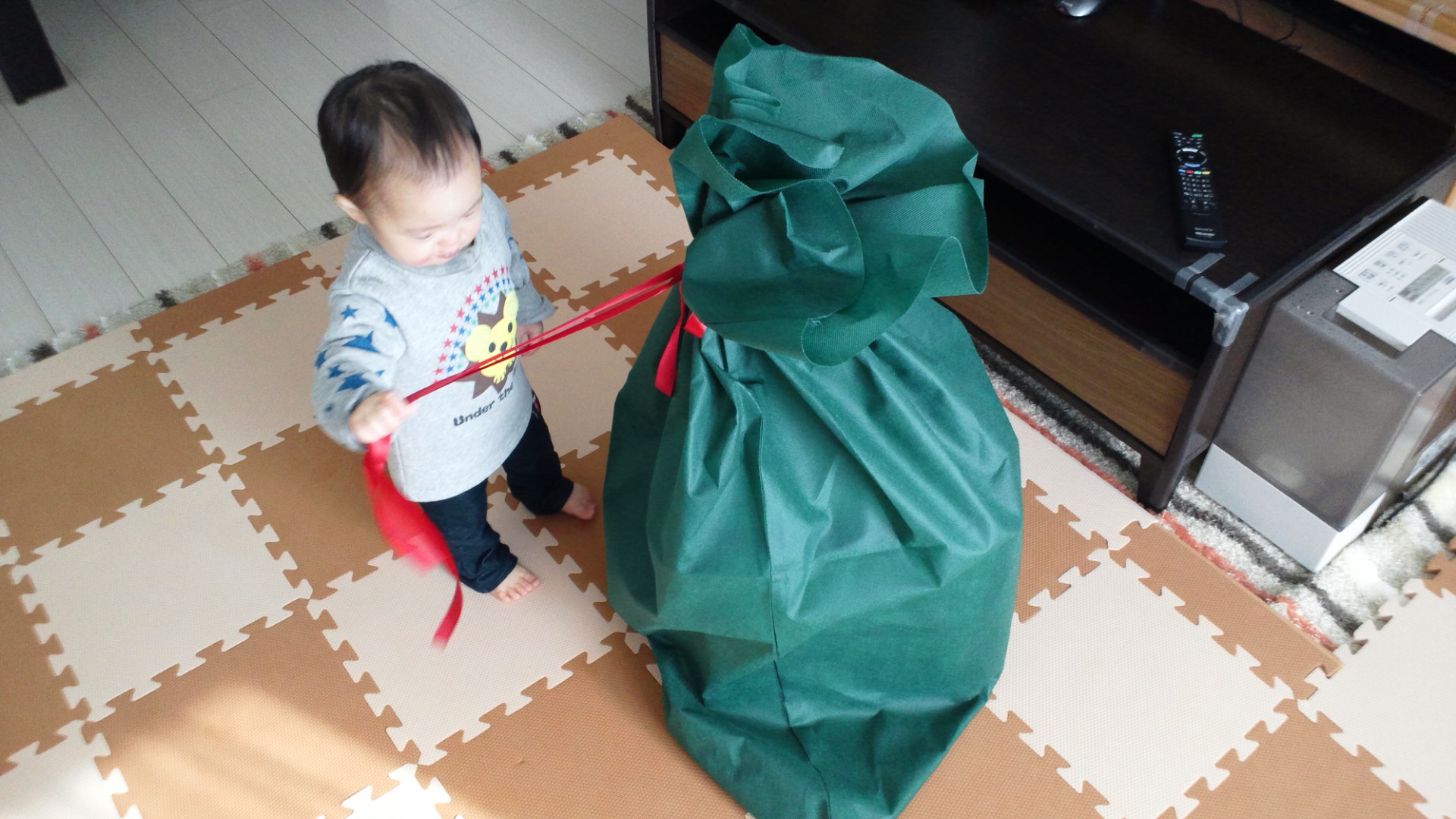 予防接種(B型肝炎 3回目)_a0267942_15485935.jpg