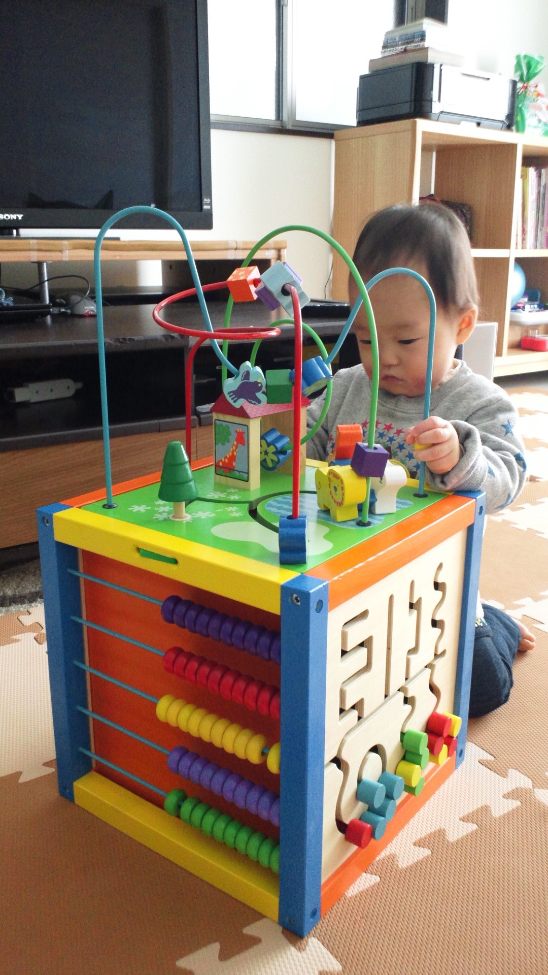 予防接種(B型肝炎 3回目)_a0267942_15535383.jpg